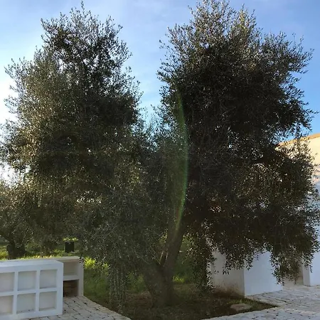 Trullo Del Moro - Luxury House With Swimming Pool Villa *